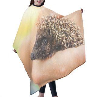 Personality  Small Prickly Hedgehog In The Hands Of Green Grass Closeup Hair Cutting Cape