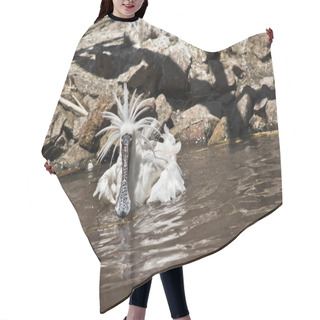 Personality  The Royal Spoonbill Is Refreshing In The Muddy Water Hair Cutting Cape