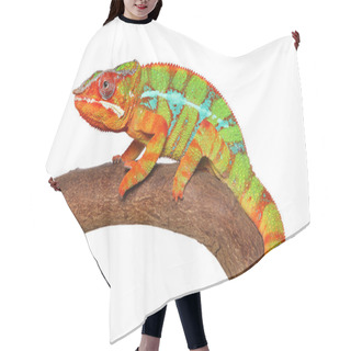 Personality  Chameleon Crawling Hair Cutting Cape