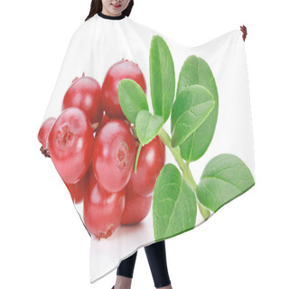 Personality  Lingonberries (cowberries, Foxberries) Isolated On The White Bac Hair Cutting Cape