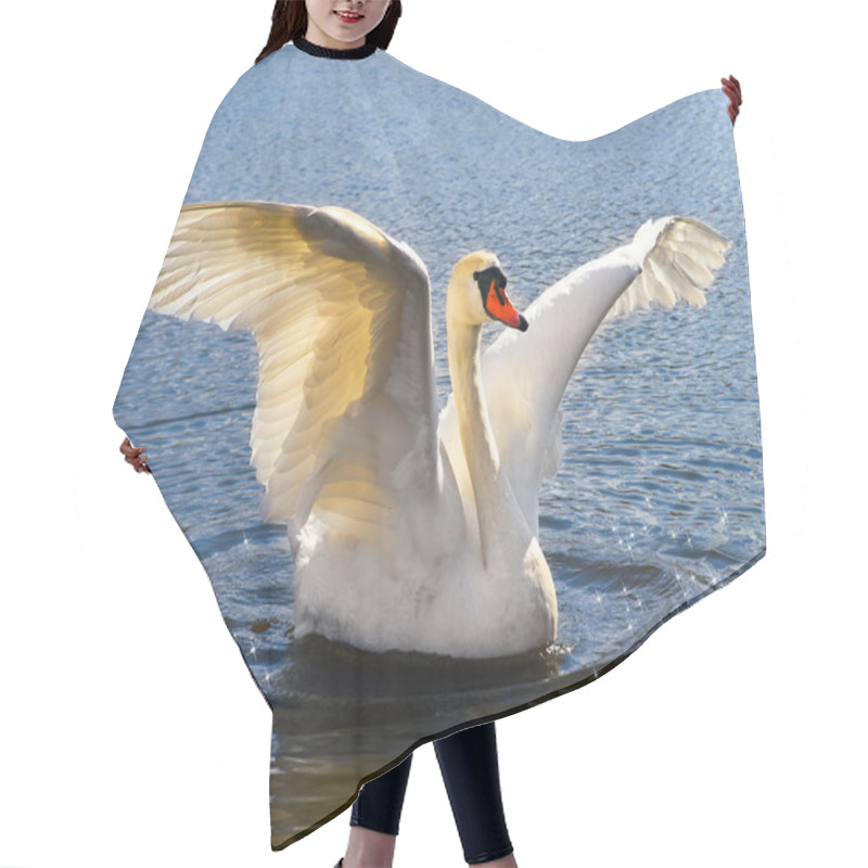 Personality  Swan Hair Cutting Cape