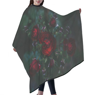Personality  Close Up Of Roses Flowers Growing Outdoor, Yaremche Hair Cutting Cape