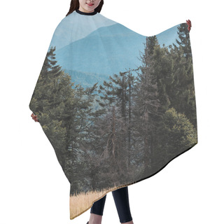 Personality   Blue Silhouette Of Mountains Near Golden Field And Fir Trees  Hair Cutting Cape