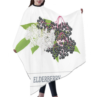 Personality  Black Elderberry Stripe Label, Copy Space With Twig, Berries, Flowers, Leaves. Sambucus. Black Elder Hair Cutting Cape