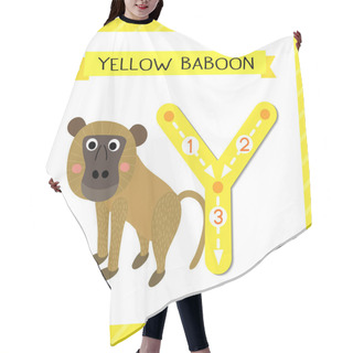 Personality  Letter Y Uppercase Cute Children Colorful Zoo And Animals ABC Alphabet Tracing Flashcard Of Yellow Baboon Monkey For Kids Learning English Vocabulary And Handwriting Vector Illustration. Hair Cutting Cape