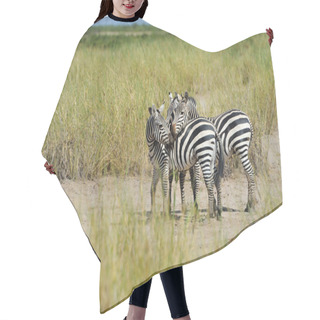 Personality  Zebra Hair Cutting Cape