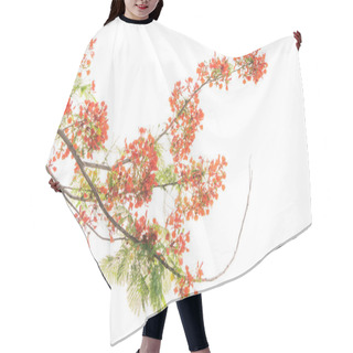 Personality  Peacock Flowers On Tree With White Background Hair Cutting Cape