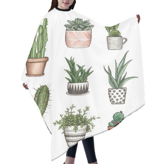 Personality  Watercolor Illustration Home Plants. Hair Cutting Cape