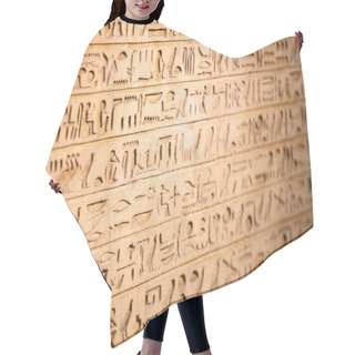Personality  Egyptian Hieroglyphs On Wall Hair Cutting Cape