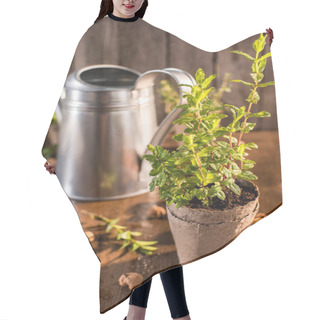 Personality  Mint Growing In A Flowerpot Hair Cutting Cape