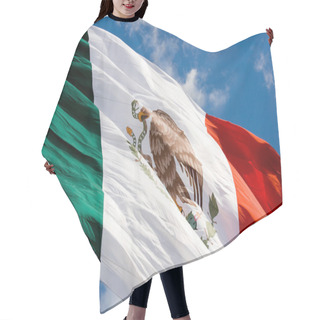 Personality  Mexican Flag In Blue Sky Hair Cutting Cape