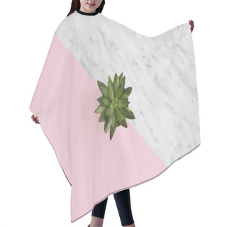 Personality  Beautiful Pattern Of Green Succulent Isolated On Pink And Marble Bright Split Color Background. Flat Lay, Top View. Hair Cutting Cape