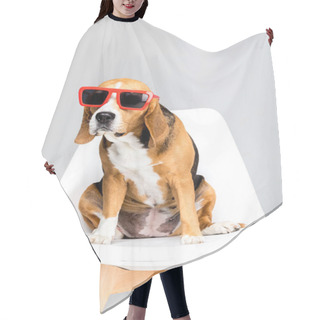 Personality  Beagle Dog In Sunglasses Hair Cutting Cape