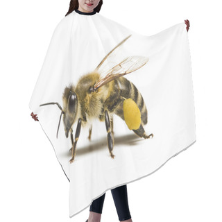 Personality  Bee On White Hair Cutting Cape