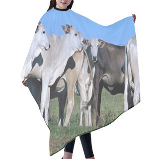 Personality  Cattle Hair Cutting Cape