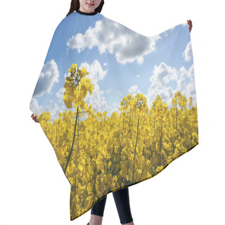 Personality  Canola Field Hair Cutting Cape