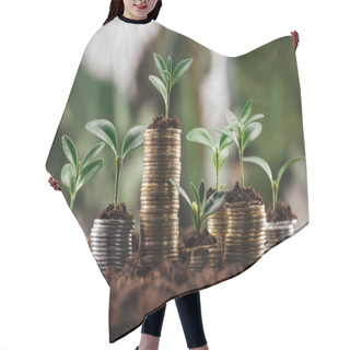 Personality  Silver And Golden Coins With Green Leaves And Soil, Financial Growth Concept Hair Cutting Cape