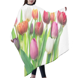 Personality  Colorful Bouquet Of Tulips On White Background. Spring Background. Hair Cutting Cape