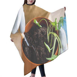 Personality  Cropped View Of Young Woman In Gloves Holding Small Shovel With Ground While Transplanting Plant  Hair Cutting Cape