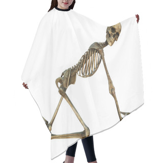 Personality  Human Skeleton Hair Cutting Cape