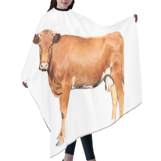 Personality  Brown Cow Hair Cutting Cape