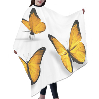 Personality  Three Yellow Butterfly, Isolated On White Background Hair Cutting Cape
