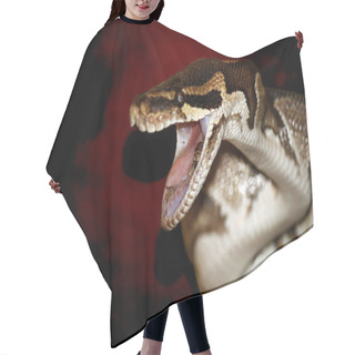 Personality  Snake Hair Cutting Cape
