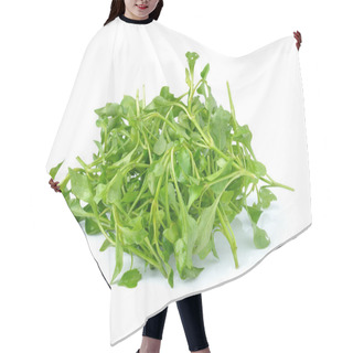 Personality  Fresh Watercress Isolated On White Background Hair Cutting Cape