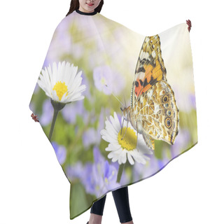 Personality   Beautiful Butterfly Resting At Blooming Daisy With Sunbeams Hair Cutting Cape