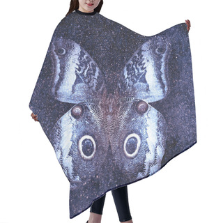 Personality  Universe Starry Sky With Butterfly Hair Cutting Cape