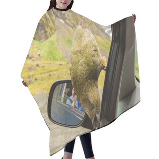 Personality  Kea Parrot Breaks Down The Car Hair Cutting Cape