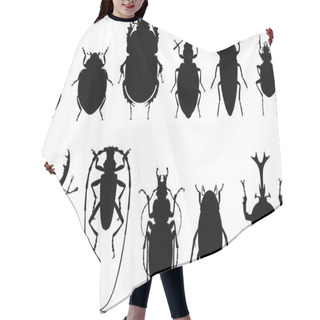 Personality  Bugs, Black Silhouettes On White Background. Set Of Different Types Of Bugs And Beetles Isolated On White Background.  Hair Cutting Cape