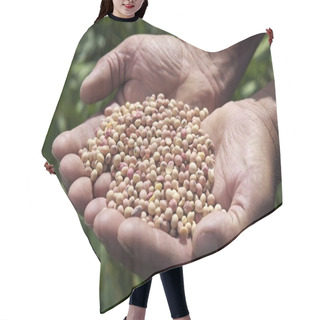 Personality  Male Holding Soybeans Hair Cutting Cape