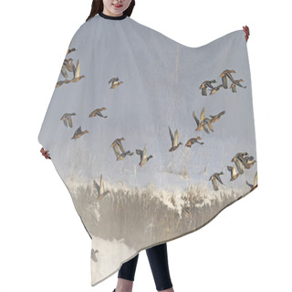 Personality  Flock Of Wild Ducks Flying In Fog Hair Cutting Cape