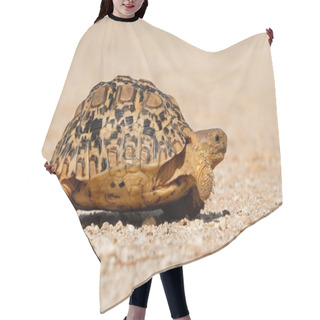 Personality  Leopard Tortoise Walking Hair Cutting Cape