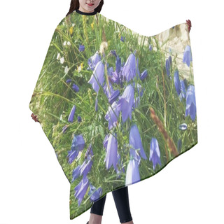 Personality  Carpathian Bell - Blue Flower In The Shape Of A Bell Hair Cutting Cape