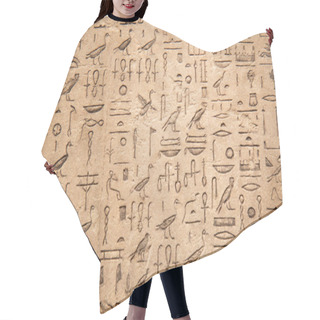 Personality  Egyptian Hieroglyphs On Wall Hair Cutting Cape
