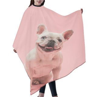 Personality  French Bulldog With White Color On Pink Background Hair Cutting Cape