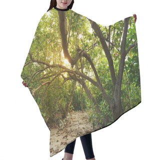 Personality  Sunlight And Trees Hair Cutting Cape