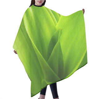 Personality  Fresh Leaves Hair Cutting Cape