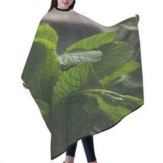 Personality  Close Up View Of Fresh Aromatic Peppermint Leaves Hair Cutting Cape