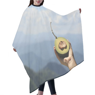 Personality  Hand Holding Avocado Half Against Mountain Landscape Hair Cutting Cape