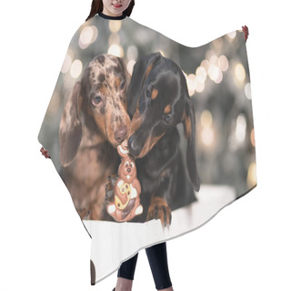 Personality  Puppy Dachshund, New Year's Puppy, Christmas Dog Hair Cutting Cape
