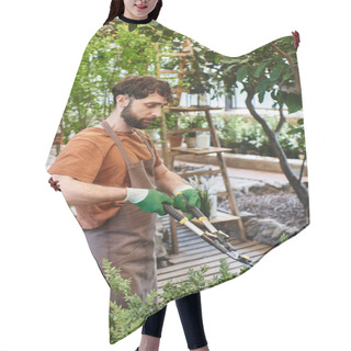Personality  Bearded Gardener In Linen Apron Trimming Green Bush With Big Gardening Scissors In Greenhouse Hair Cutting Cape
