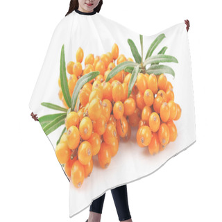 Personality  Sea Buckthorn Berries Hair Cutting Cape