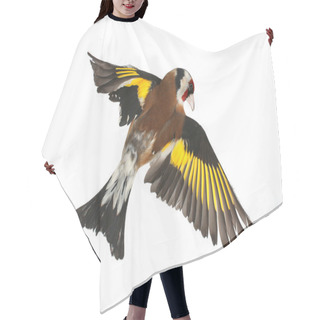 Personality  Goldfinch Hair Cutting Cape