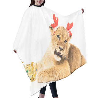 Personality  Cute Lion Cub In Deer Horns Headband Near Golden Crown Isolated On White Hair Cutting Cape