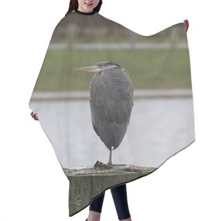 Personality  Gray Heron On Wooden Pole Hair Cutting Cape