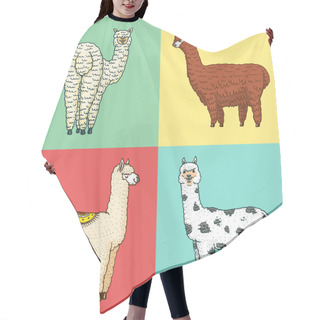 Personality  Set Of Cute Alpaca Llamas Or Wild Guanaco On The Background Of Cactus And Mountain. Funny Smiling Animals In Peru For Cards, Posters, Invitations, T-shirts. Hand Drawn Elements. Engraved Sketch. Hair Cutting Cape