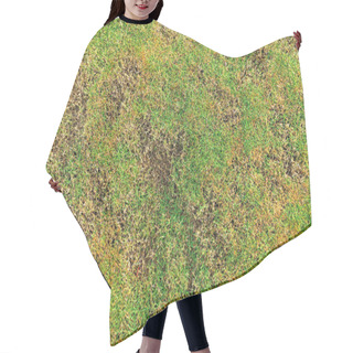 Personality  Green And Yellow Grass Texture Brown Patch Is Caused By The Destruction Of Fungus Rhizoctonia Solani Grass Leaf Change From Green To Dead Brown In A Circle Lawn Texture Background Dead Dry Grass. Hair Cutting Cape